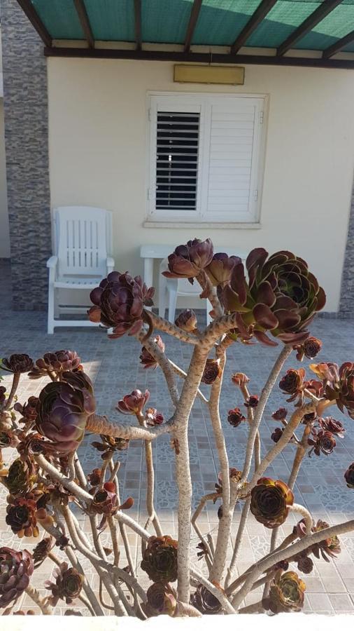 Panorama Beach House, 5 Meters To The Sea Perivolia Bagian luar foto